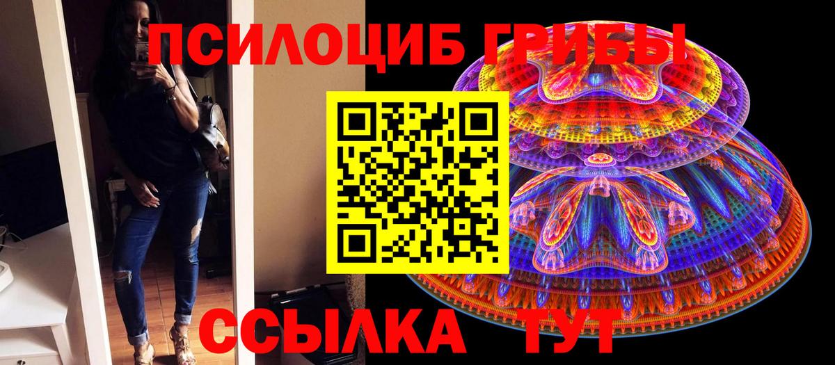 Псилоцибиновые грибы мицелий  Галлюциногенные грибы Psilocybe  Гагарин  Вход с VPN 